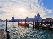 VENICE21 (47)